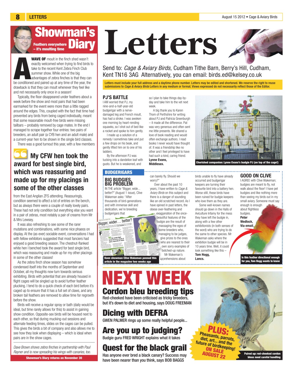 Cage & Aviary Birds Preview Pages