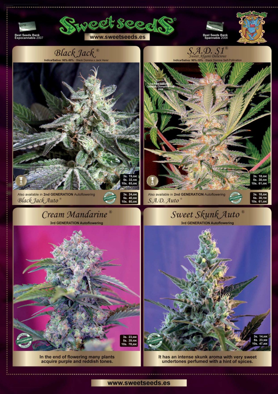 Weed World Preview Pages