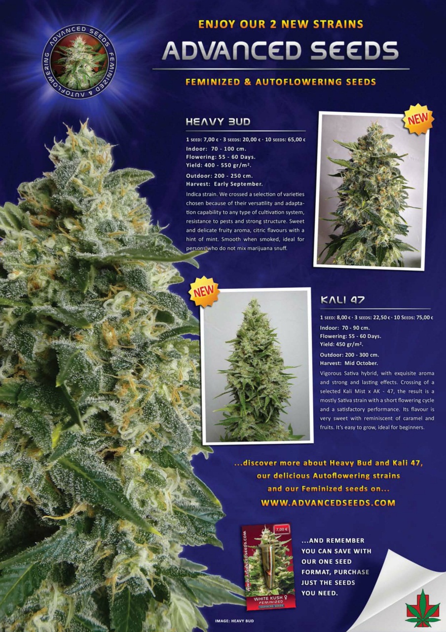 Weed World Preview Pages