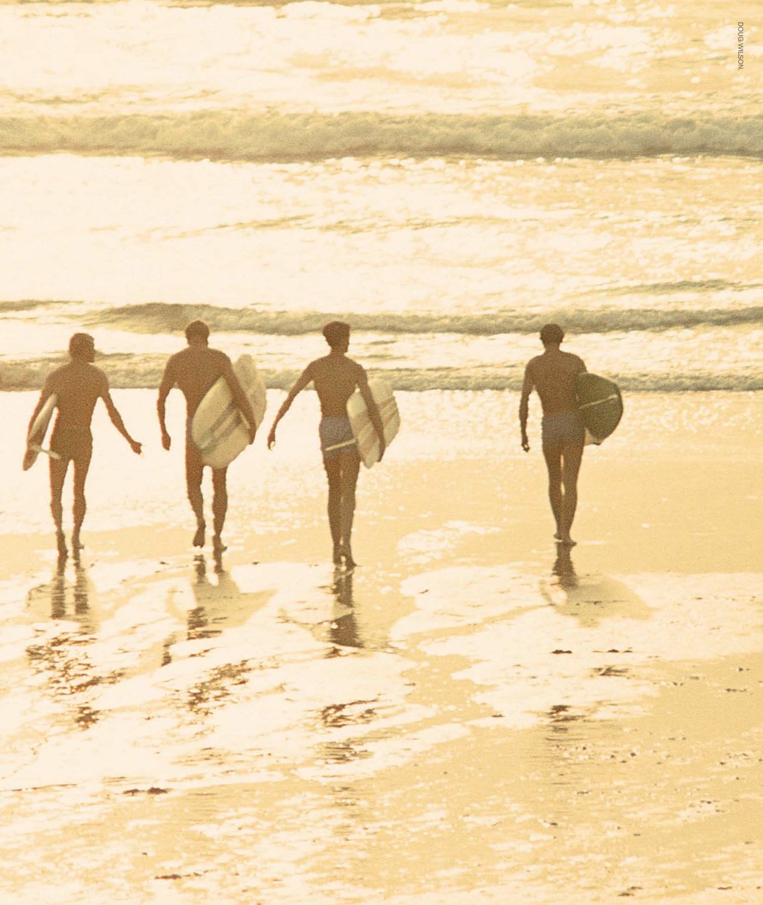 Surfing Books Preview Pages