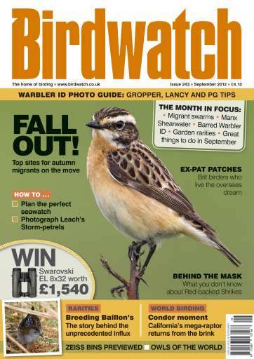 Birdwatch Magazine issue 