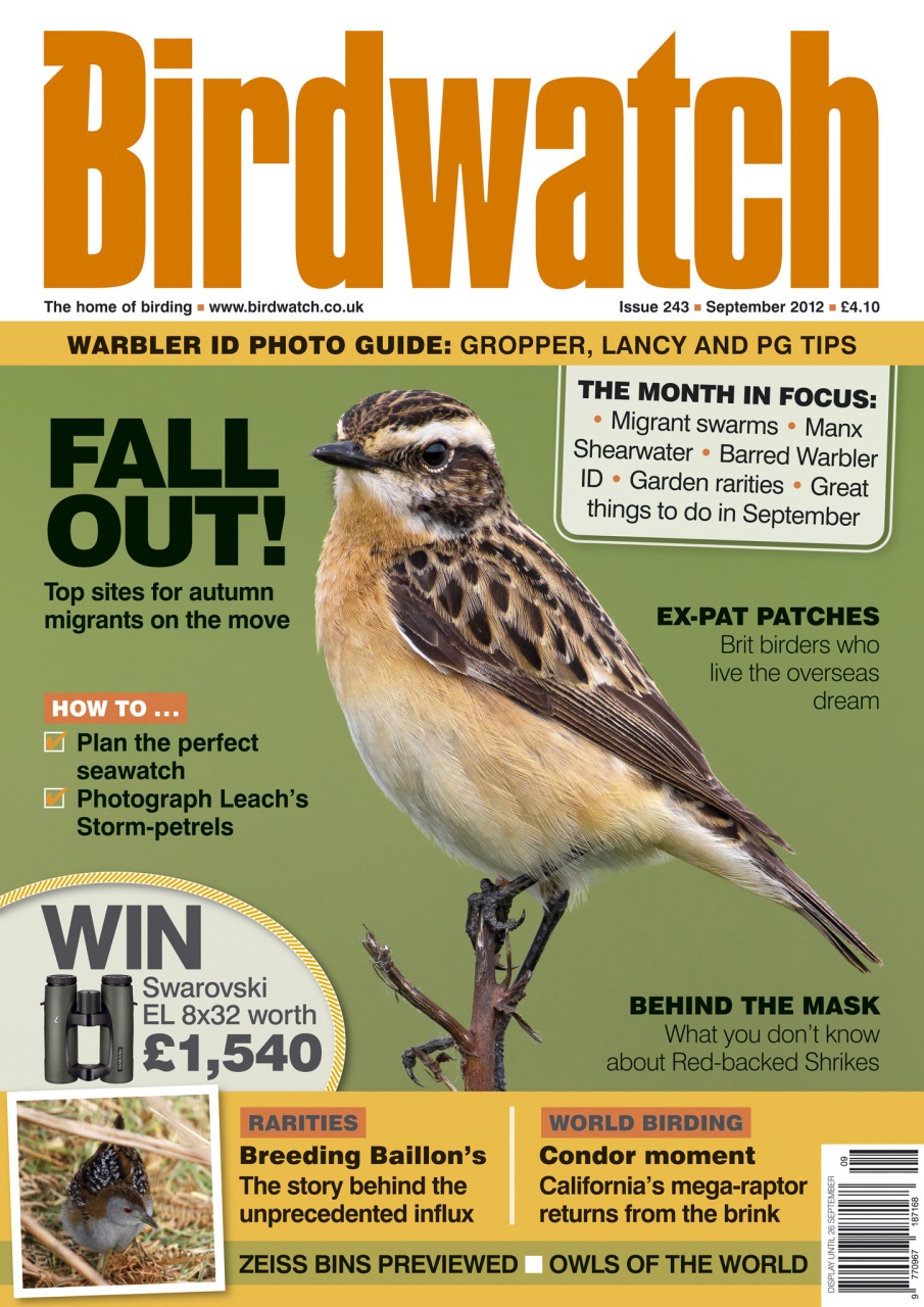 Birdwatch Magazine Preview Pages