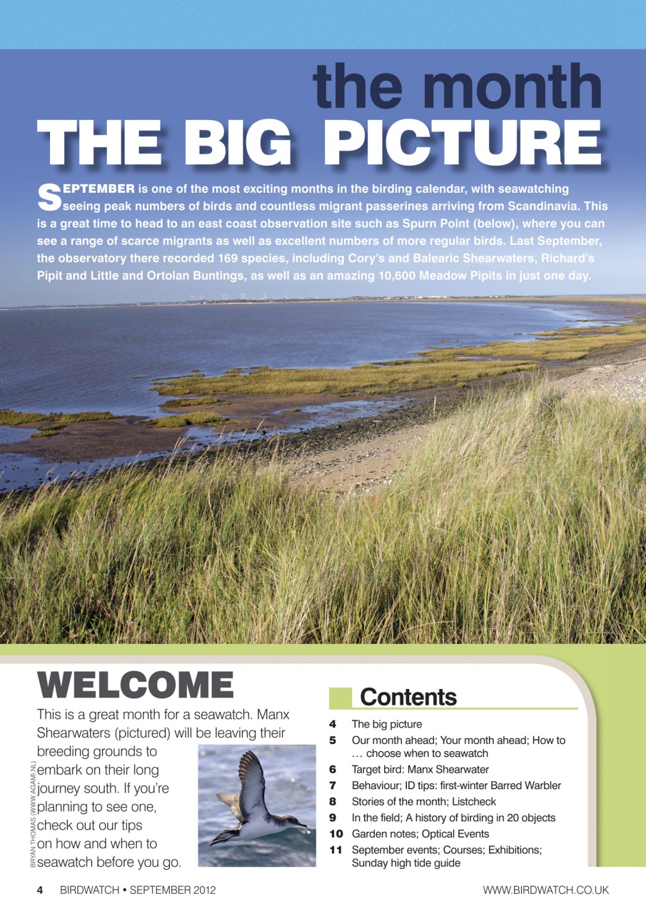Birdwatch Magazine Preview Pages