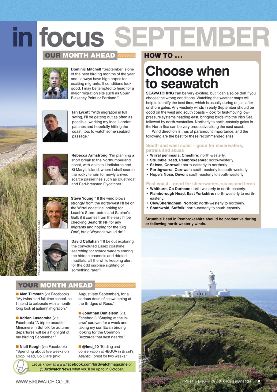 Birdwatch Magazine Preview Pages