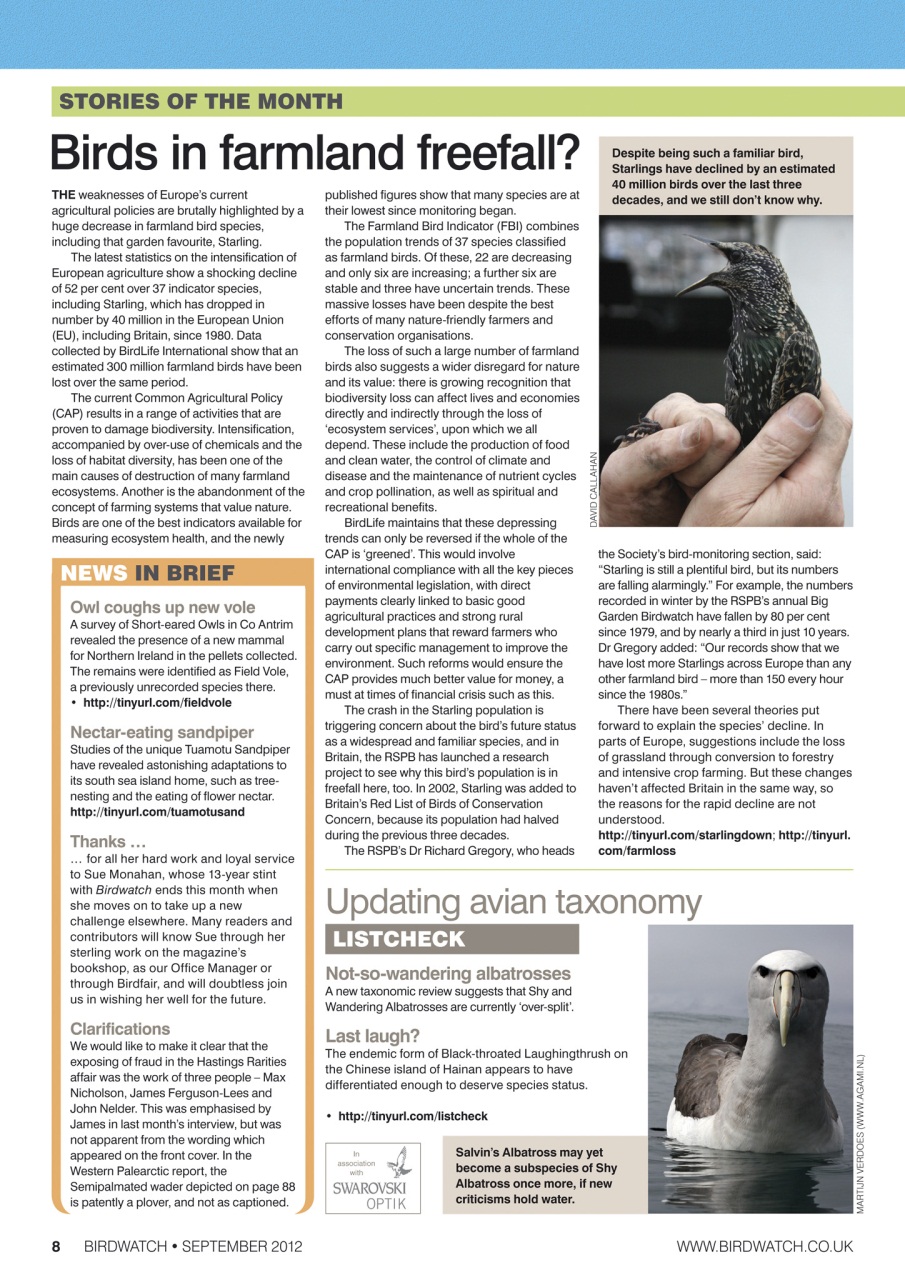 Birdwatch Magazine Preview Pages