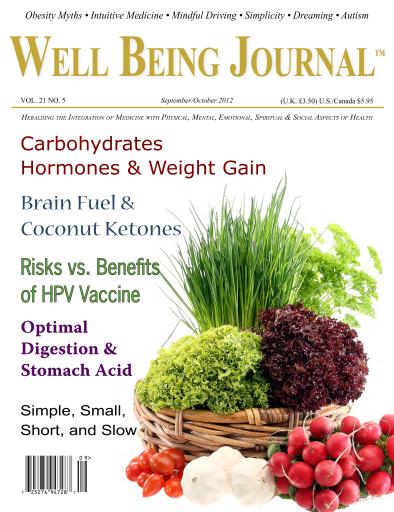Well Being Journal issue 