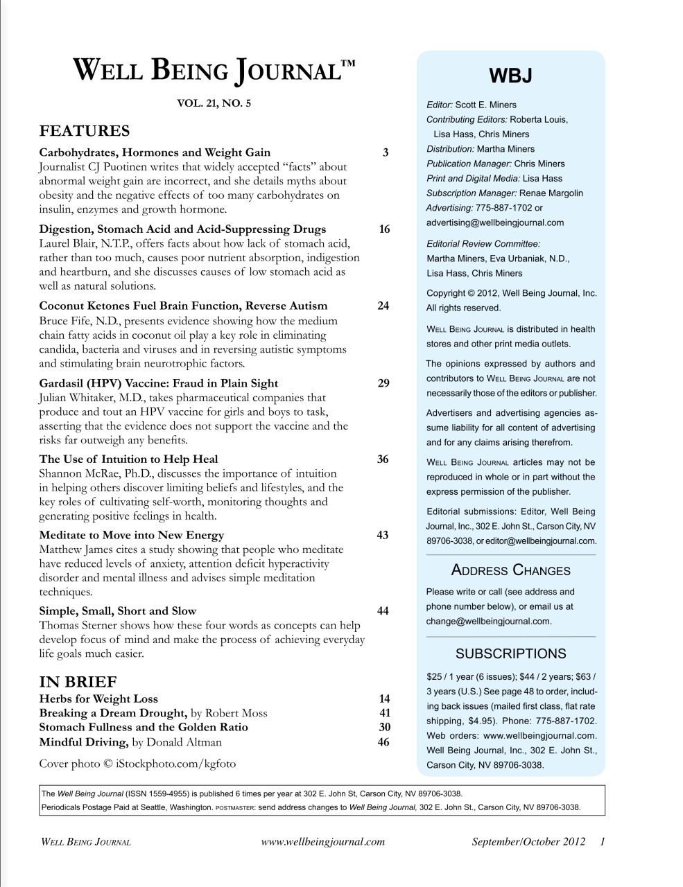 Well Being Journal Preview Pages