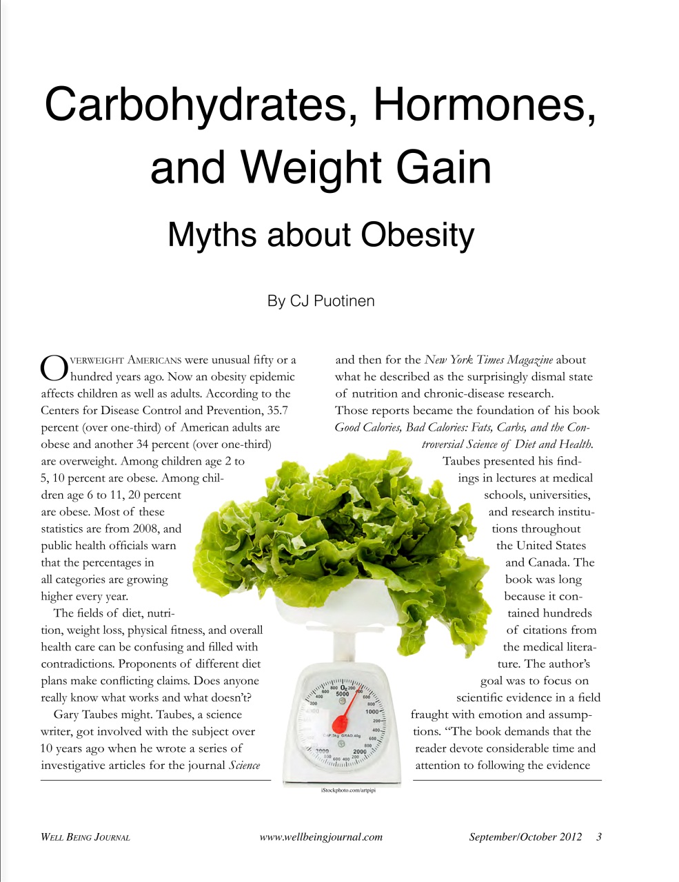 Well Being Journal Preview Pages