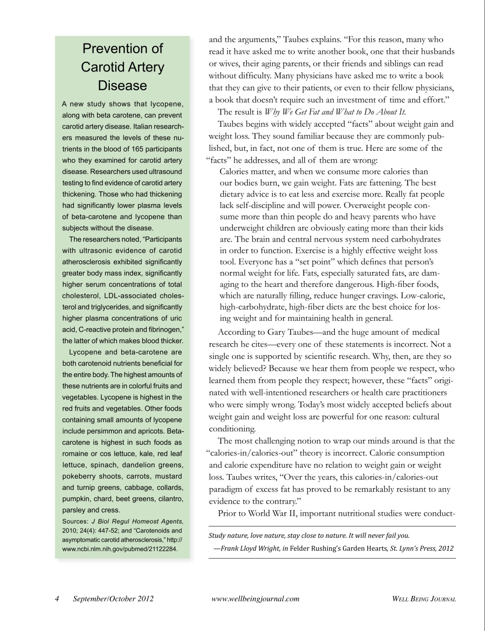 Well Being Journal Preview Pages