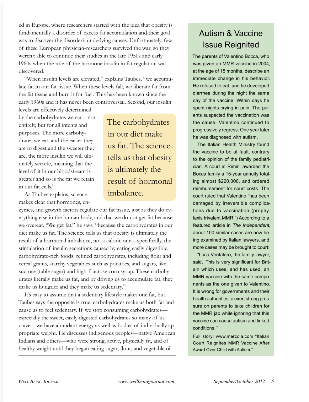 Well Being Journal Preview Pages