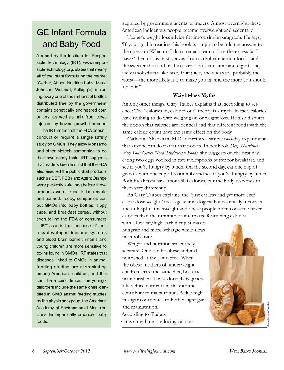 Well Being Journal Preview Pages