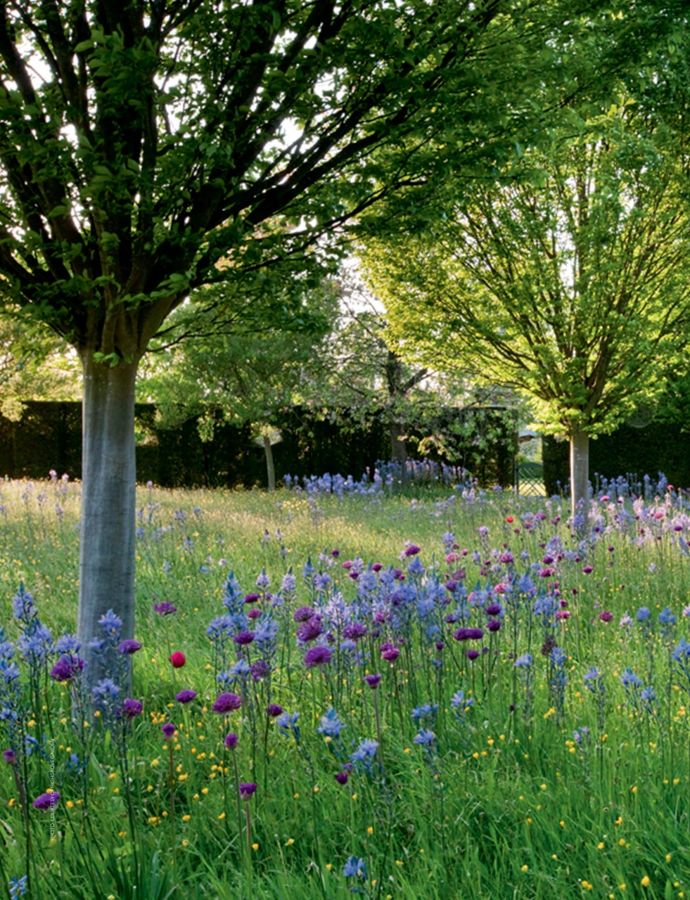 Britain Preview Pages