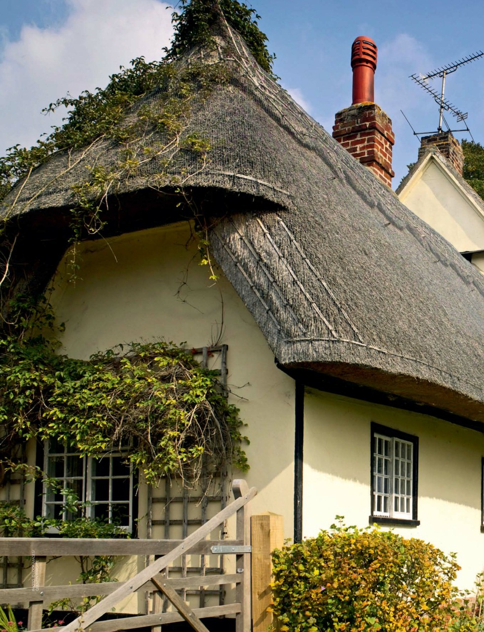 Britain Preview Pages