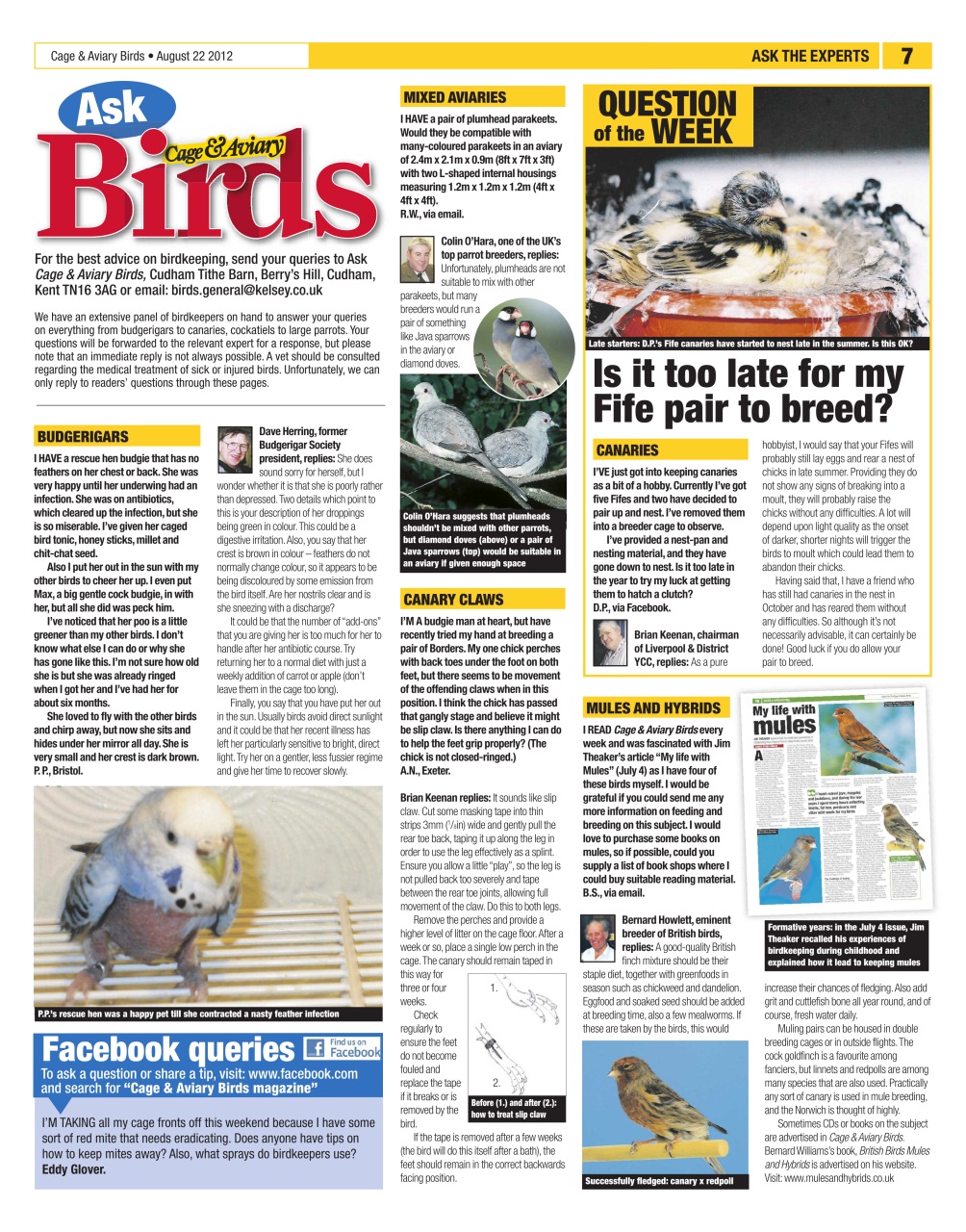 Cage & Aviary Birds Preview Pages