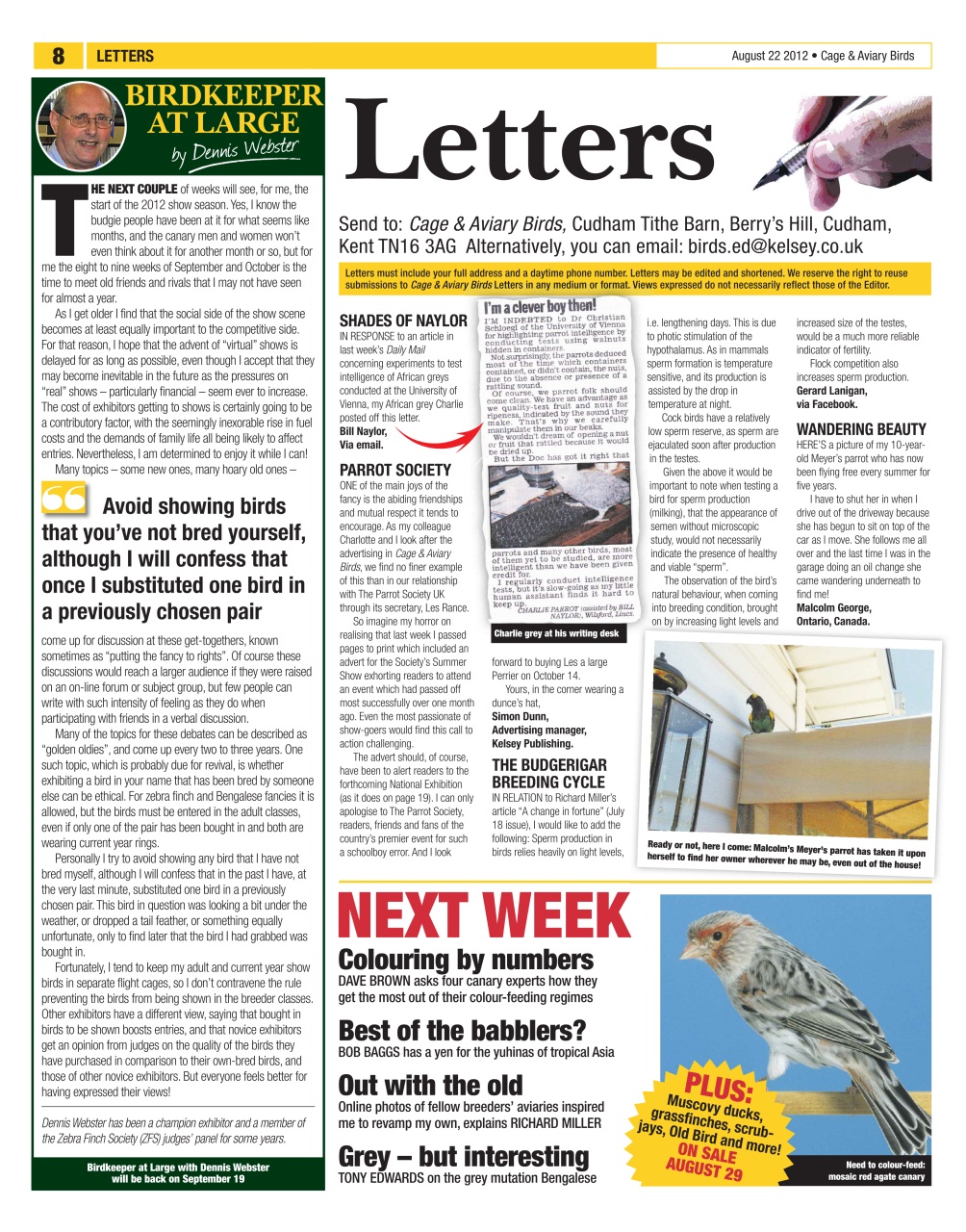 Cage & Aviary Birds Preview Pages