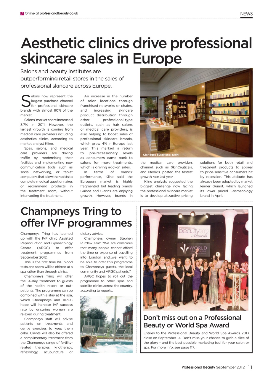 Professional Beauty Preview Pages