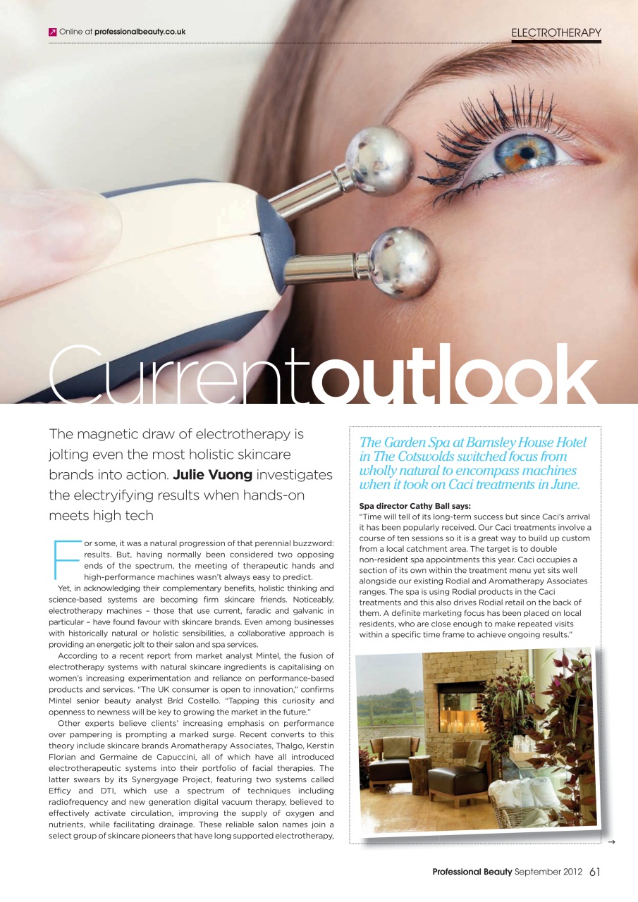 Professional Beauty Preview Pages