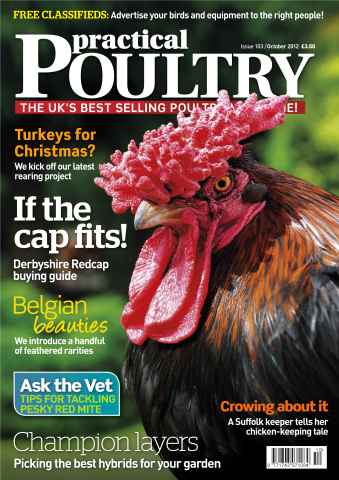 Practical Poultry issue Choosing the best Hybrids Oct 12