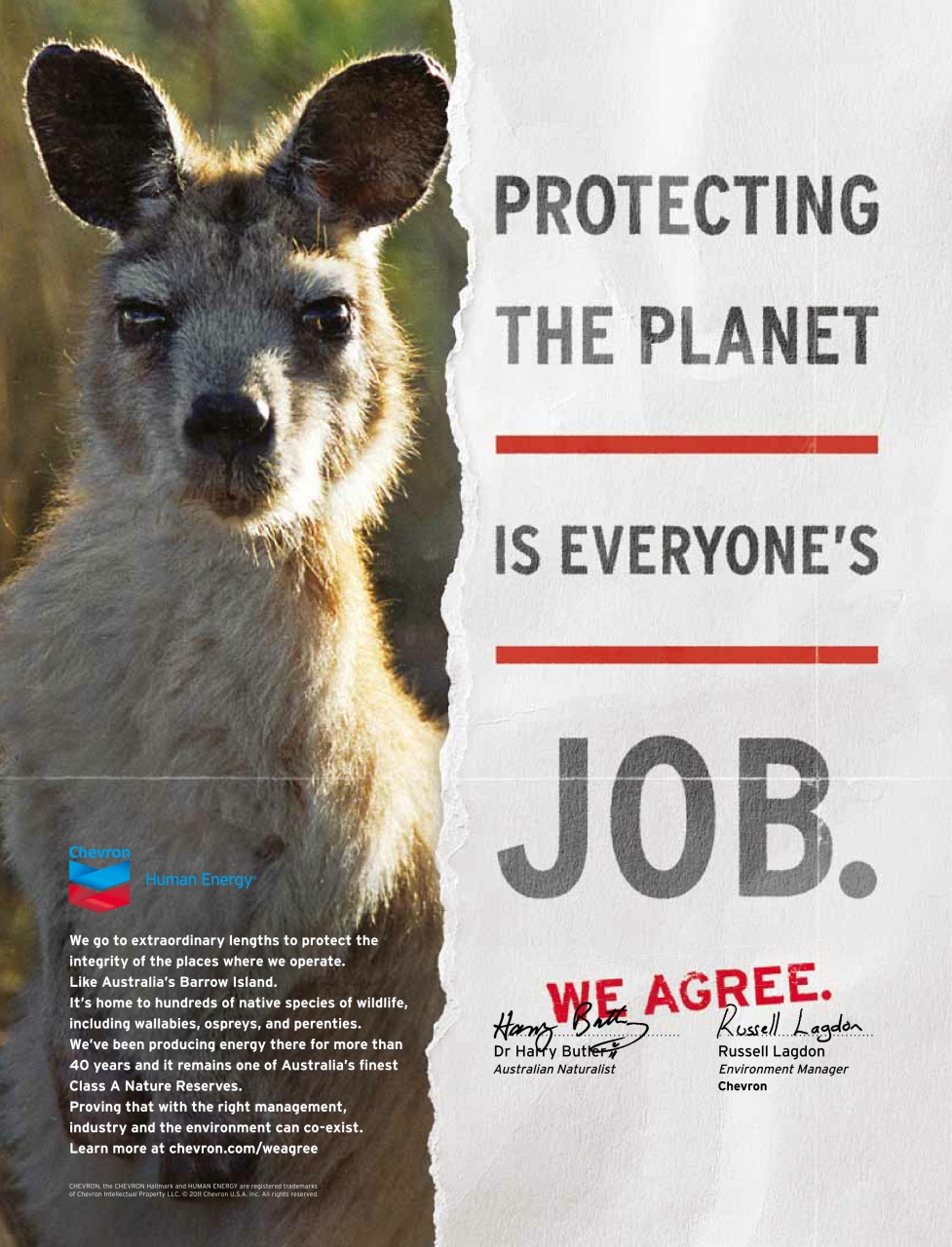 Prospect Magazine Preview Pages