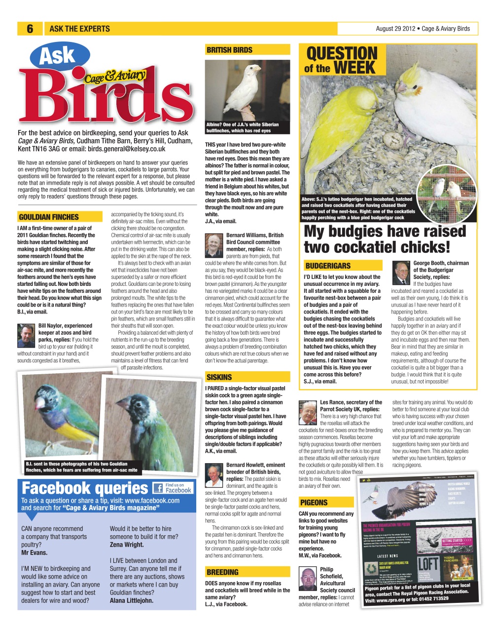 Cage & Aviary Birds Preview Pages