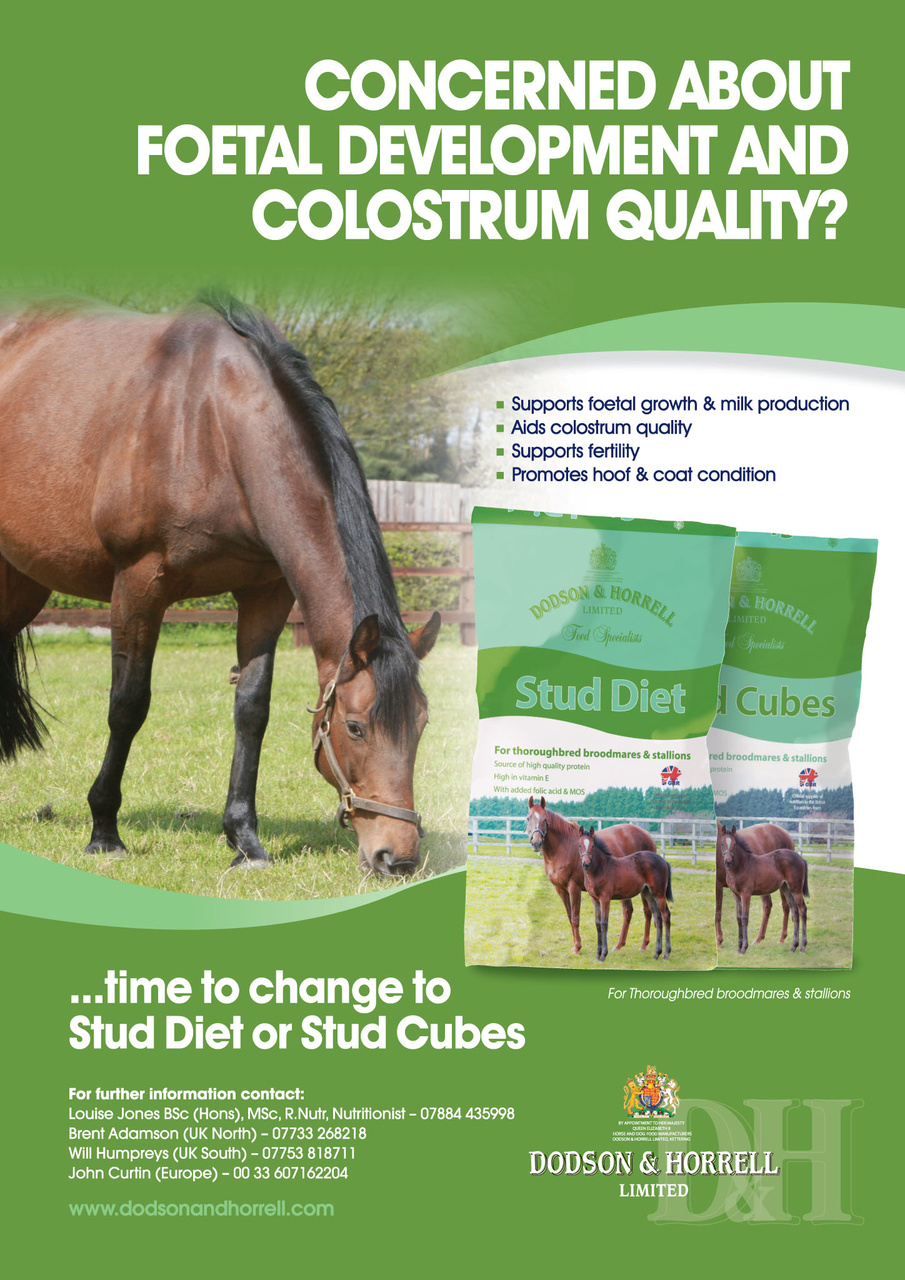 The Owner Breeder Preview Pages