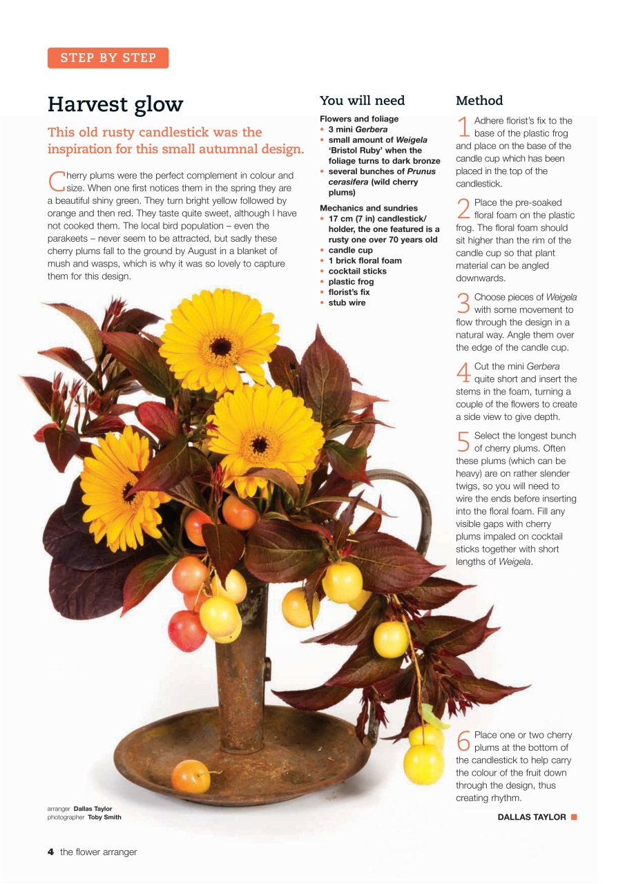 The Flower Arranger Preview Pages