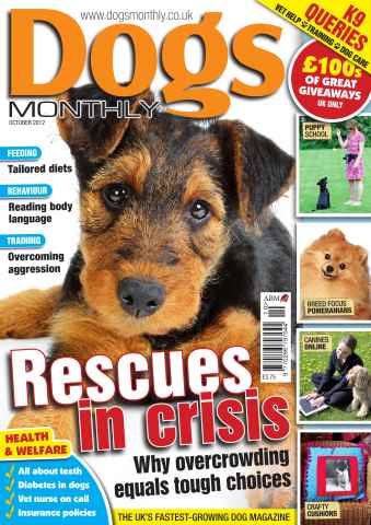 Dogs Monthly issue Dogs Monthly October 2012