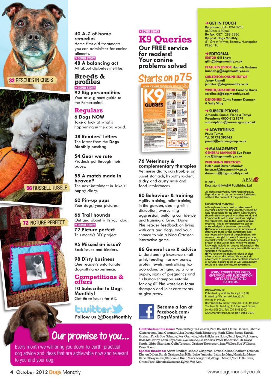 Dogs Monthly Preview Pages