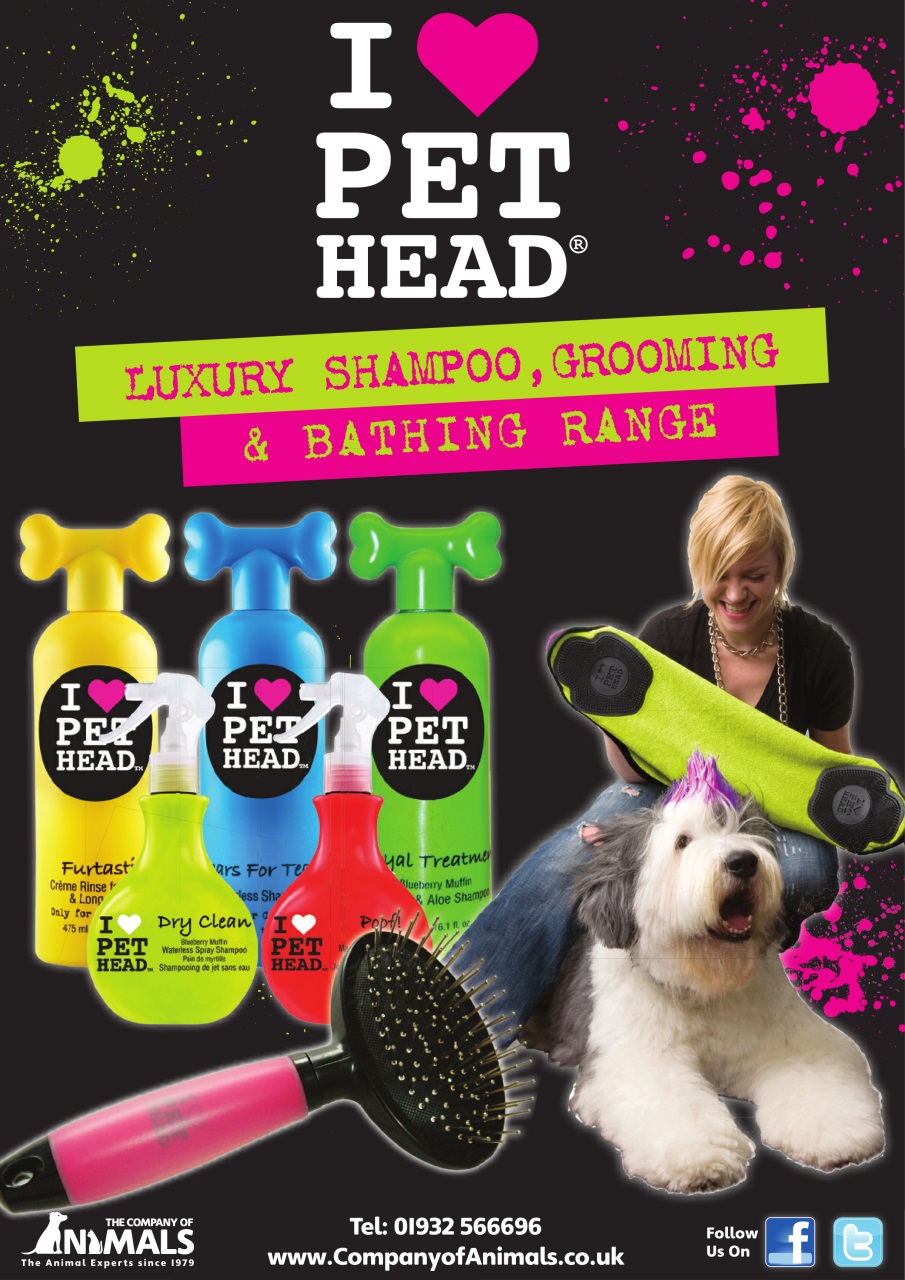 Dogs Monthly Preview Pages