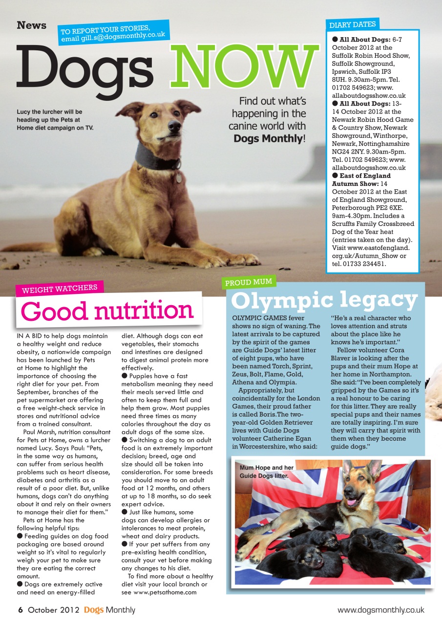 Dogs Monthly Preview Pages
