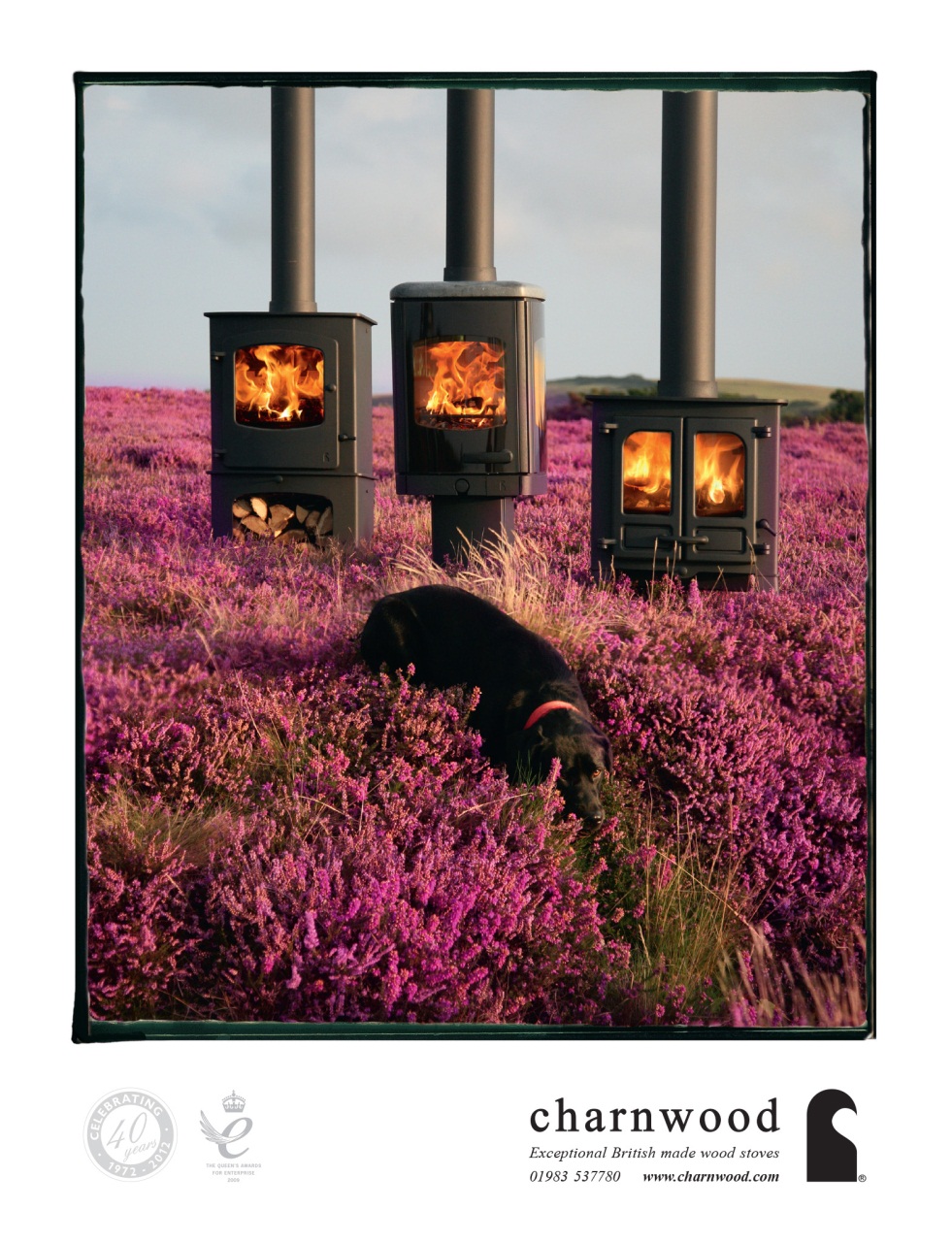 Build It Preview Pages