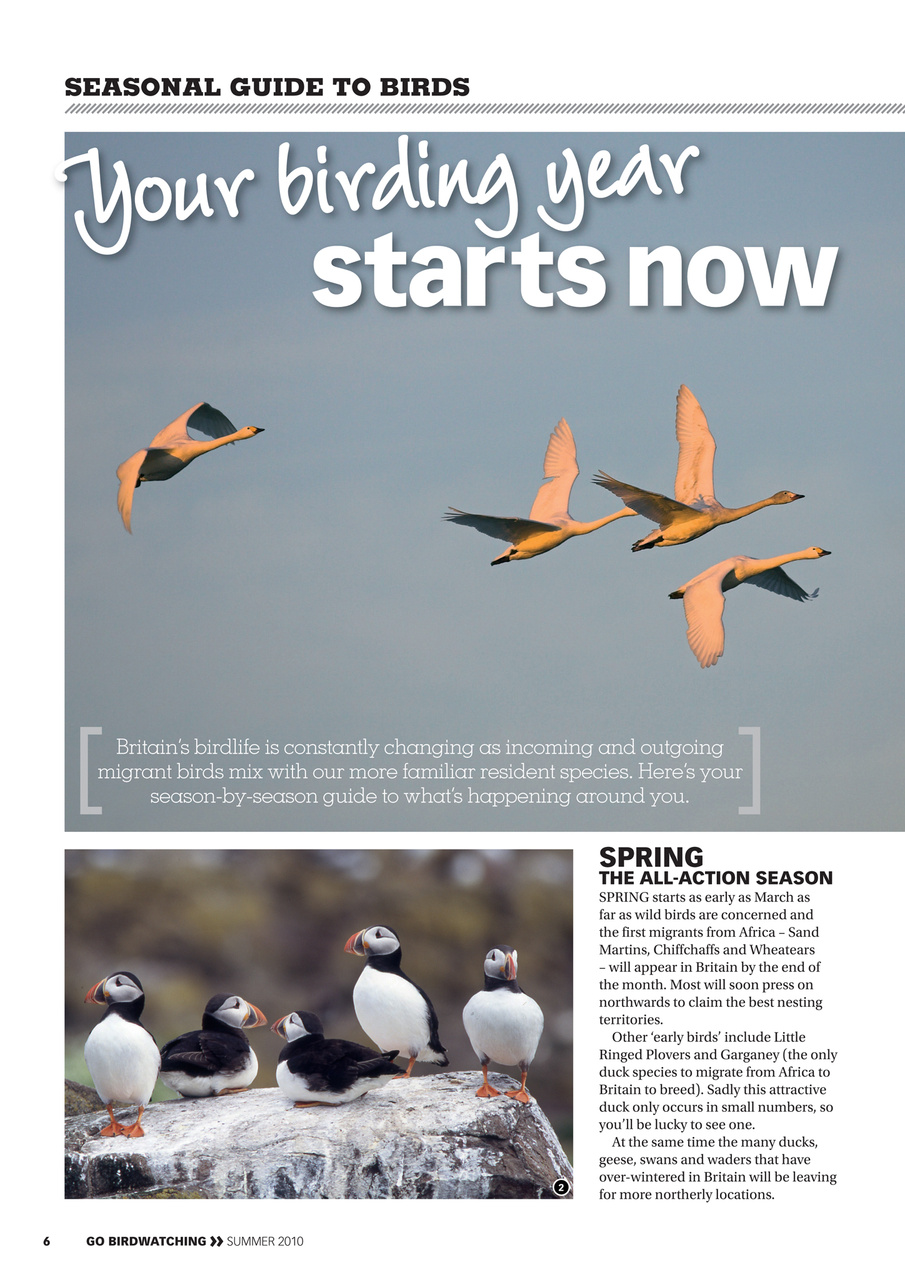 Go Birdwatching Preview Pages