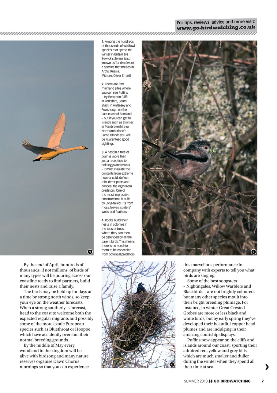 Go Birdwatching Preview Pages