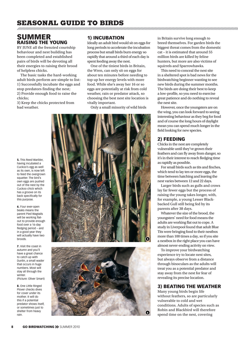 Go Birdwatching Preview Pages