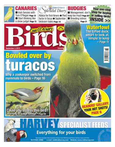 Cage & Aviary Birds issue Cage and Aviary September 5 2012