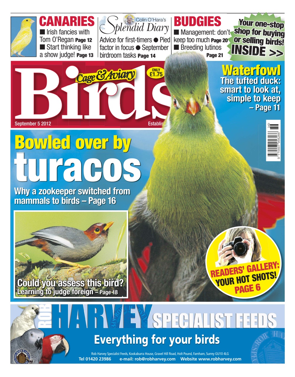 Cage & Aviary Birds Preview Pages