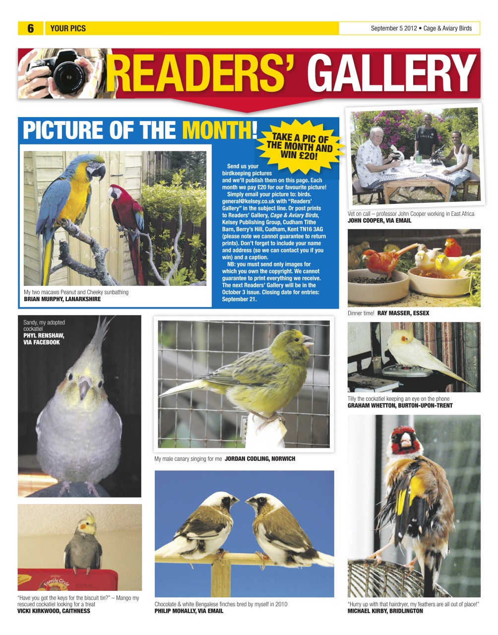 Cage & Aviary Birds Preview Pages