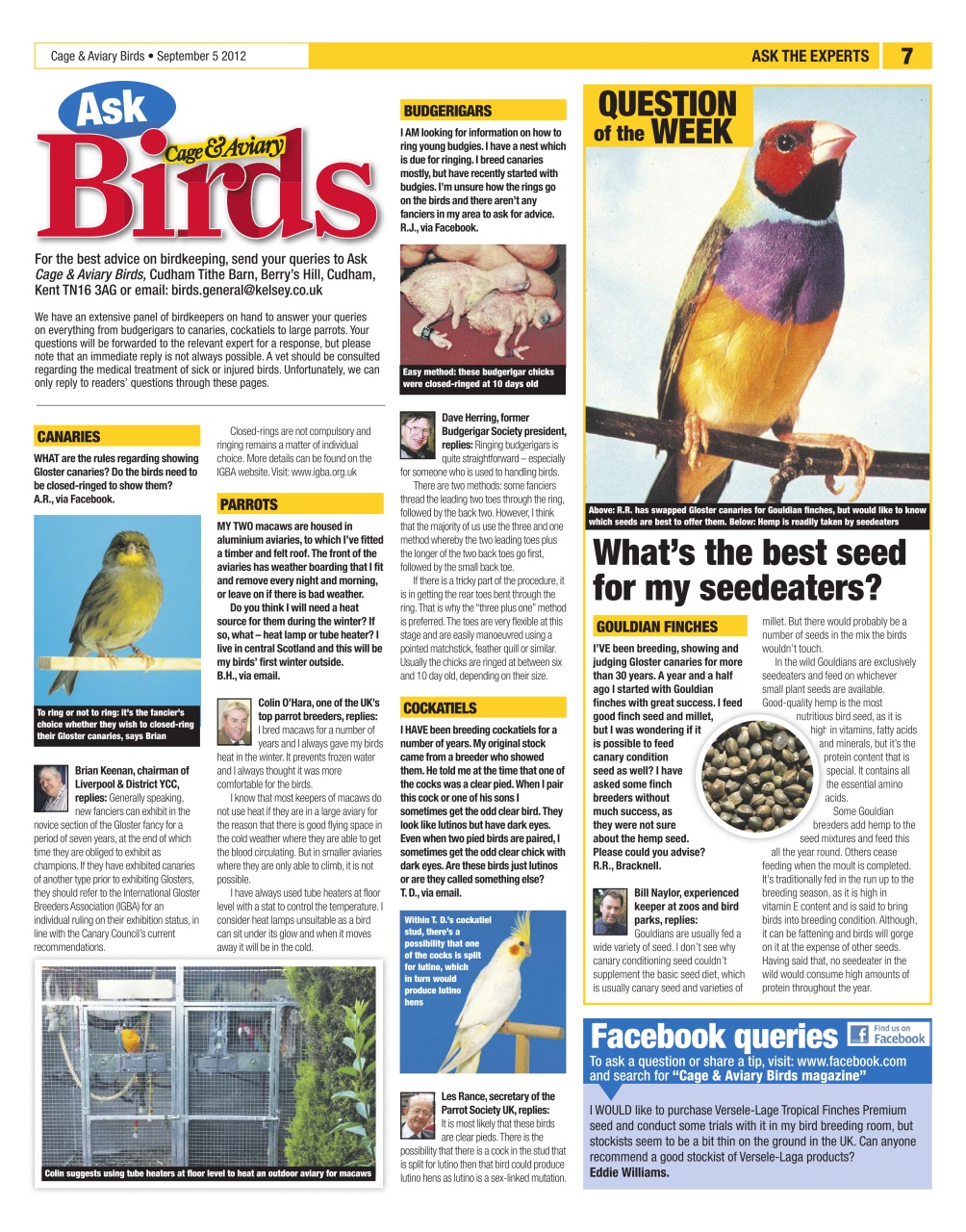 Cage & Aviary Birds Preview Pages