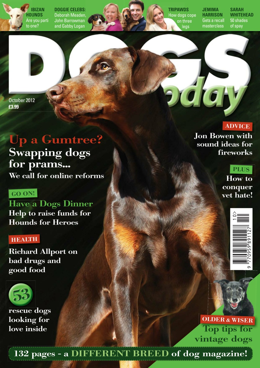 Dogs Today Magazine Preview Pages