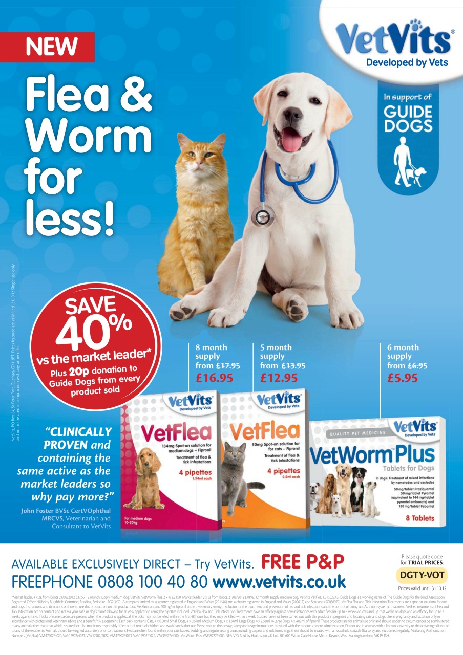 Dogs Today Magazine Preview Pages