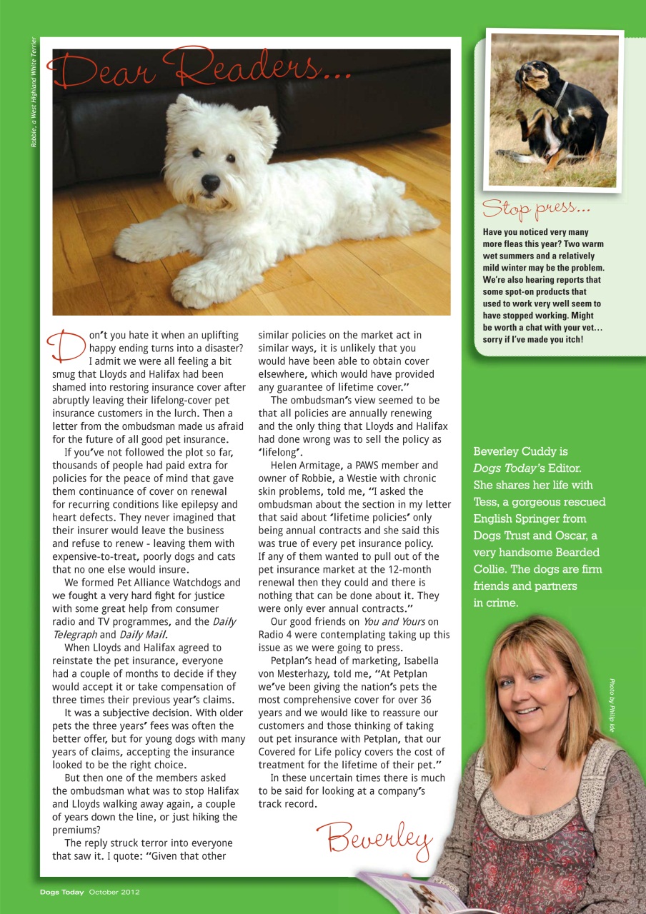 Dogs Today Magazine Preview Pages
