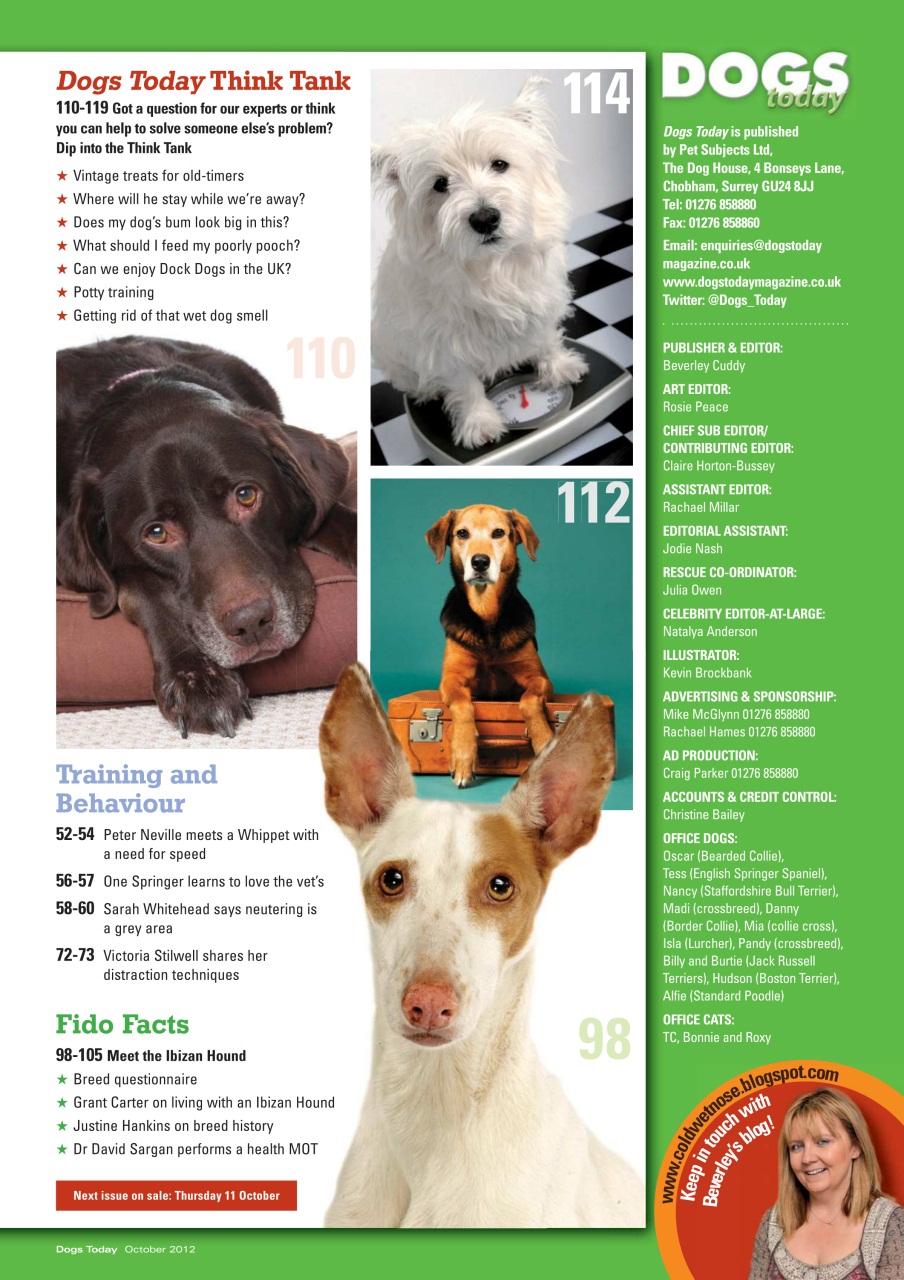 Dogs Today Magazine Preview Pages