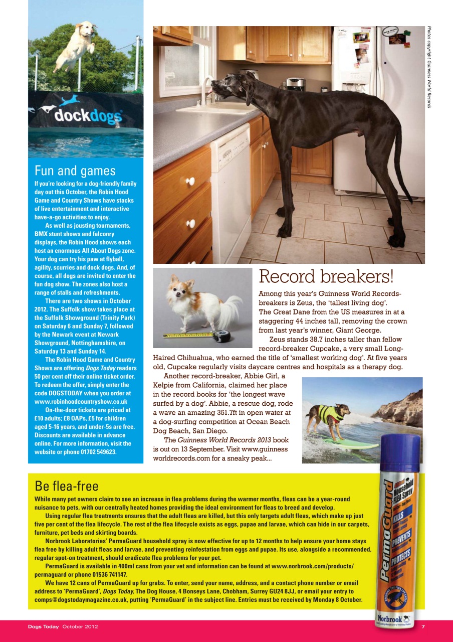 Dogs Today Magazine Preview Pages