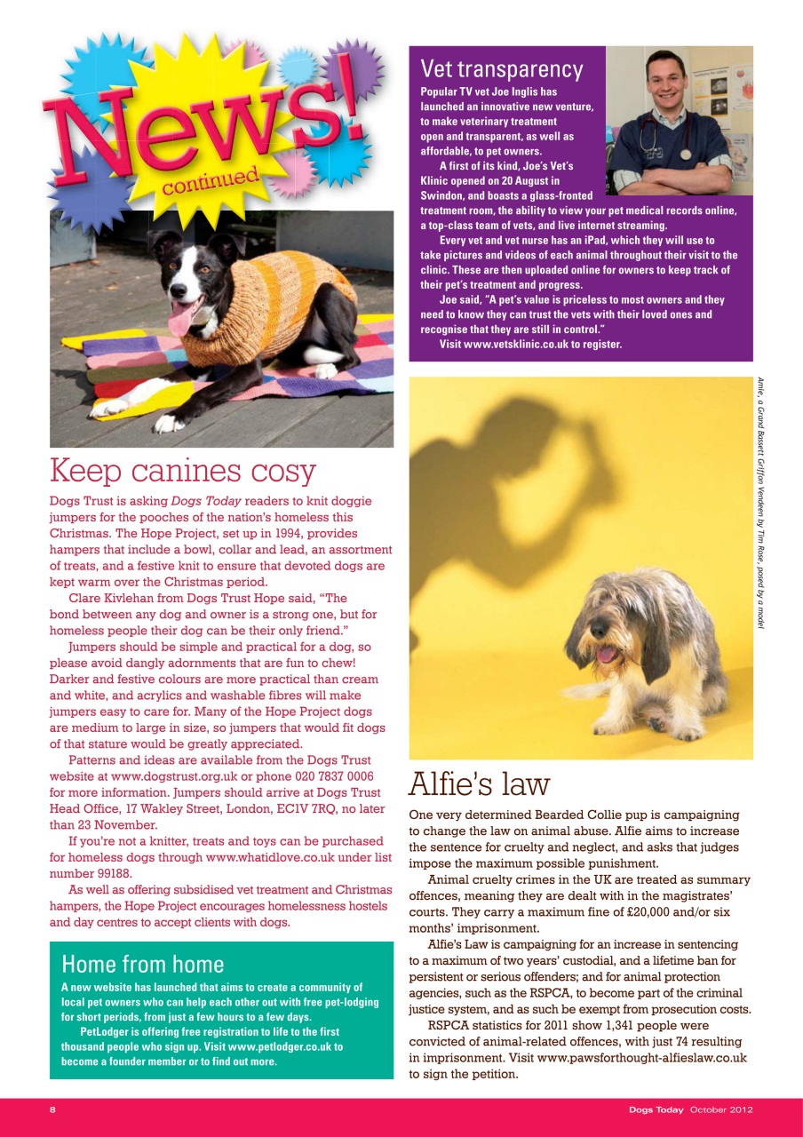 Dogs Today Magazine Preview Pages