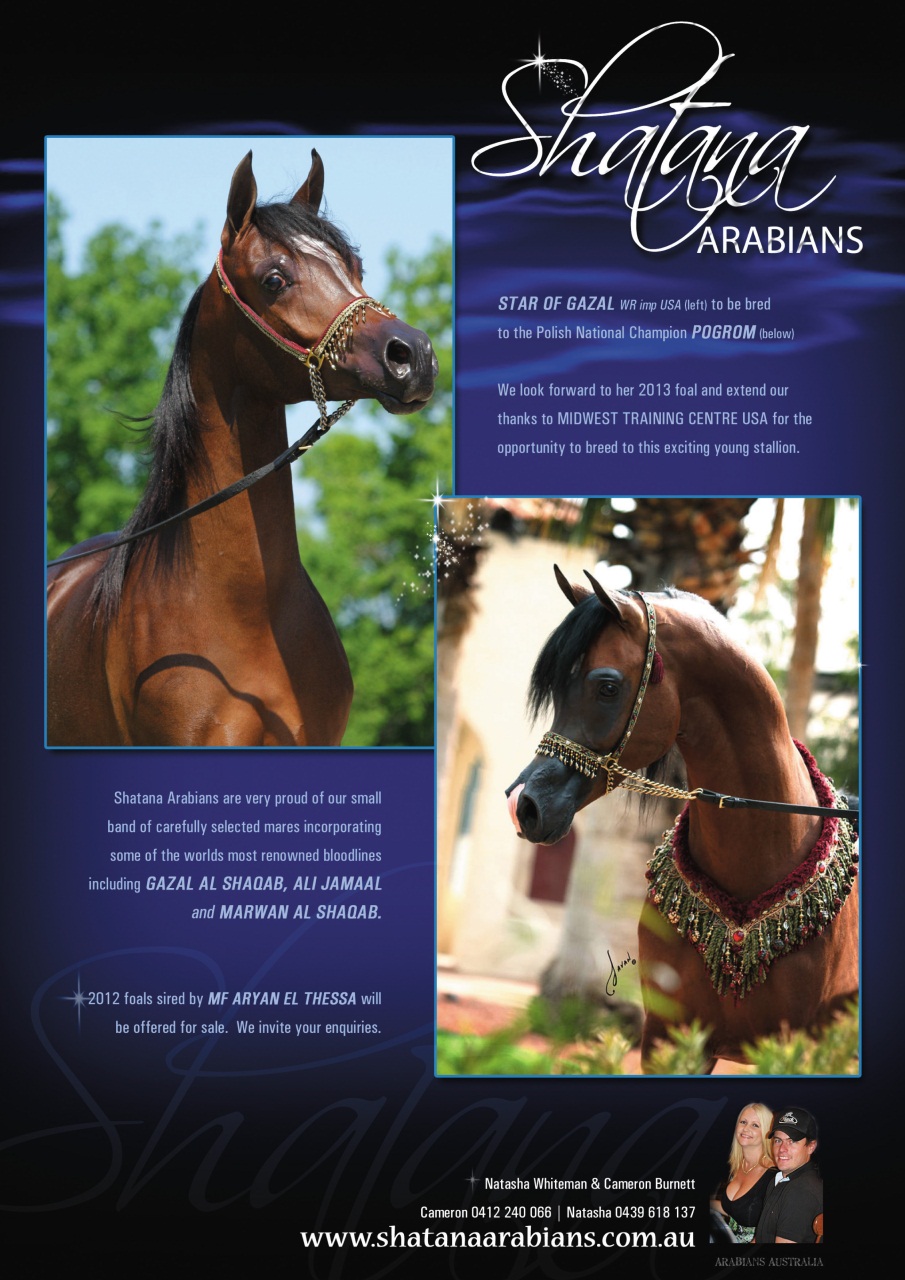 Australian Arabian Horse News Preview Pages