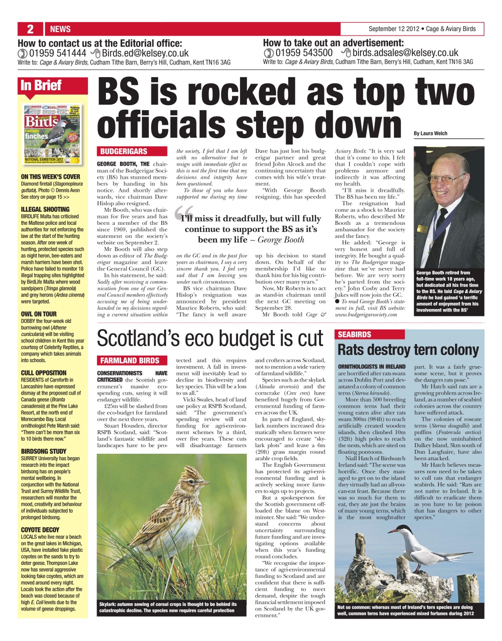 Cage & Aviary Birds Preview Pages