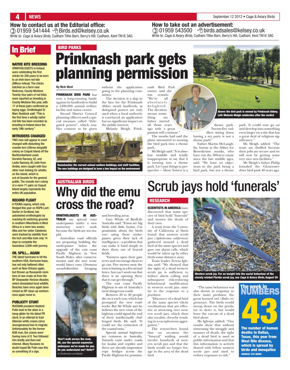 Cage & Aviary Birds Preview Pages