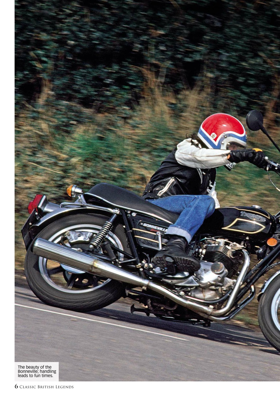 Mortons Books Preview Pages