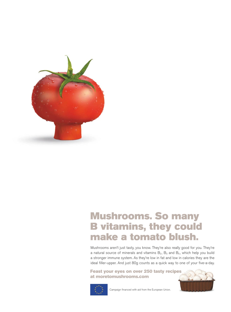 WW Magazine UK Preview Pages