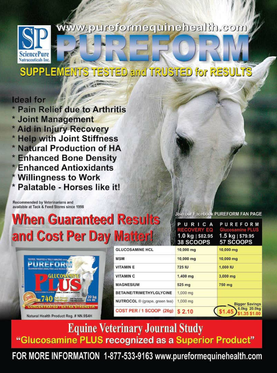 Western Horse Review Preview Pages